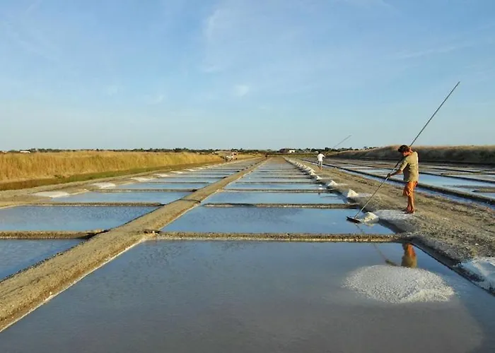 Le Clos Des Flots - L'ocean Semesterbostad La Flotte